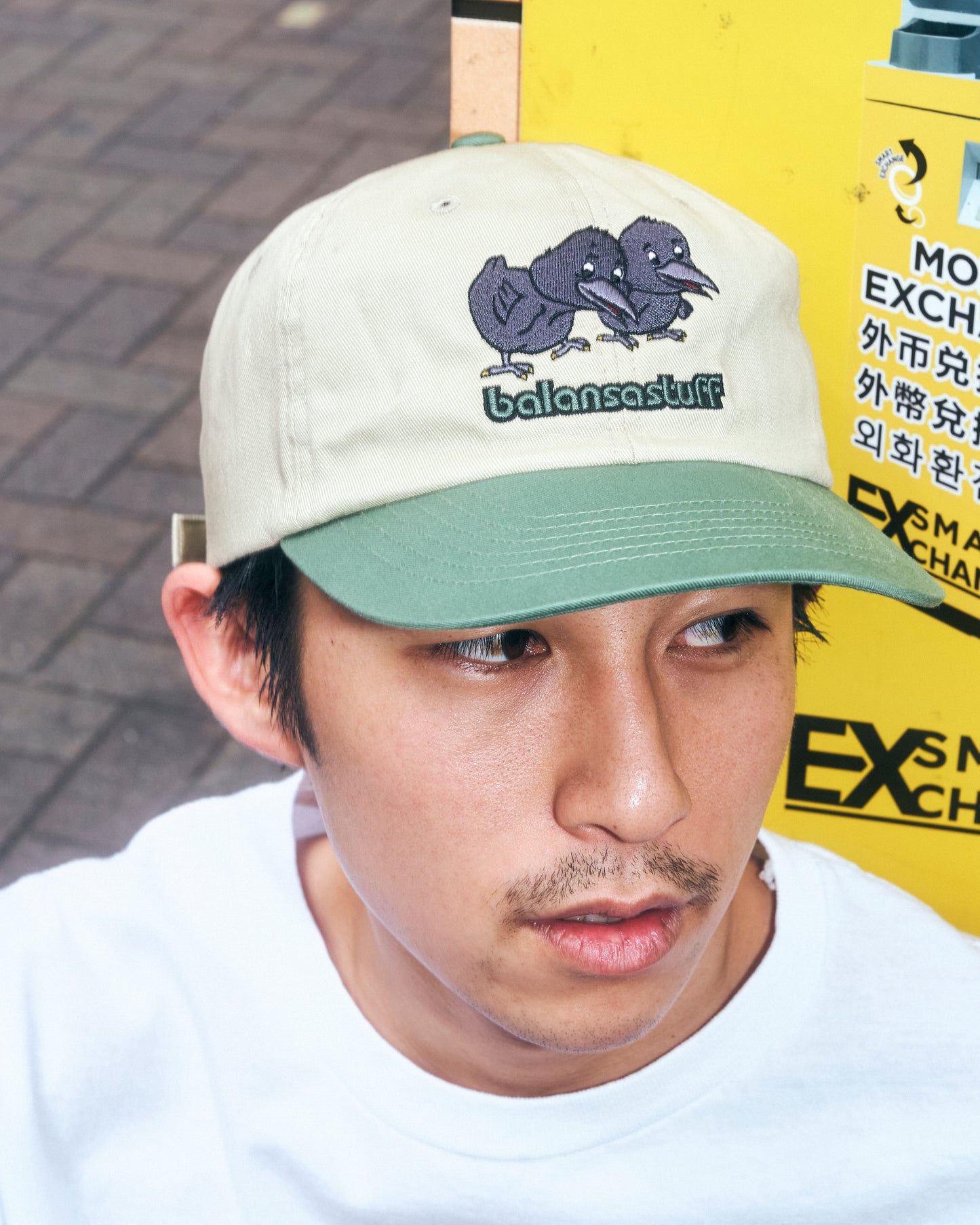 balansa × flagstuff crow cap