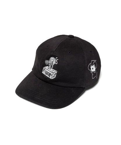 CAT CAP