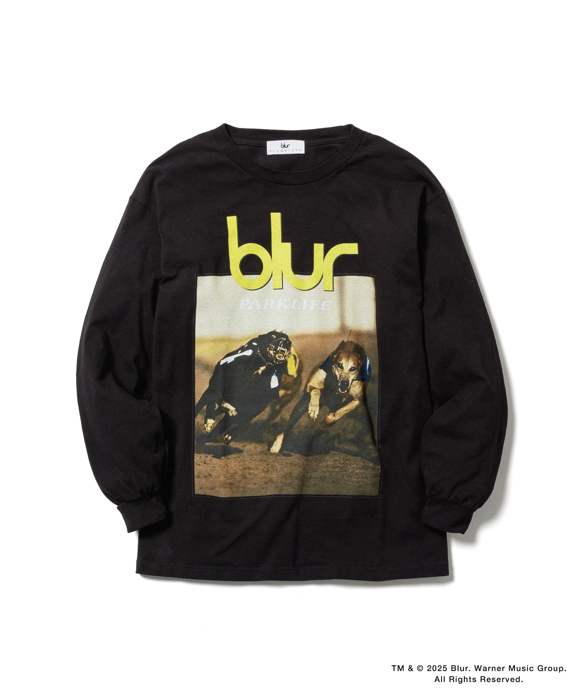 L/S TEE(xblur) – F-LAGSTUF-F